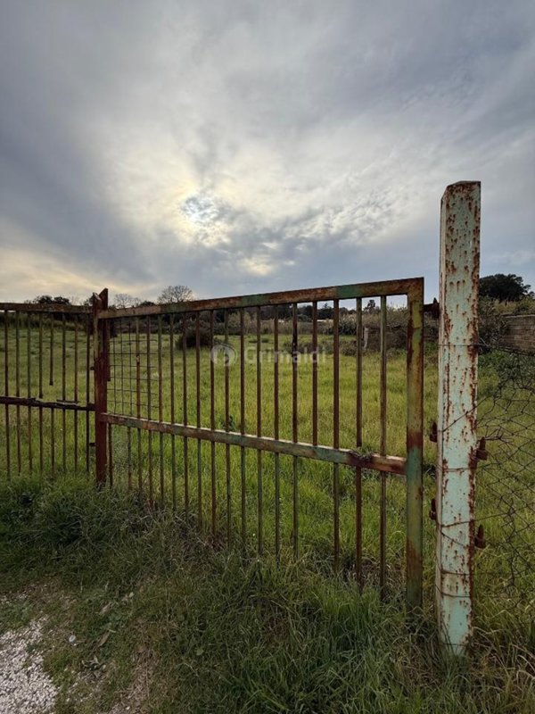 terreno agricolo in vendita ad Anzio in zona Stazione