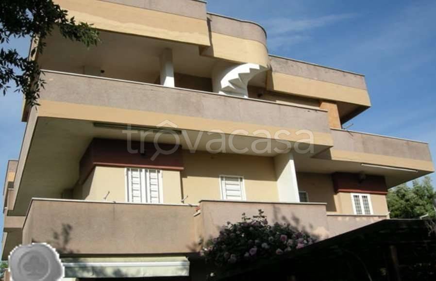 appartamento in vendita ad Anzio in zona Cincinnato