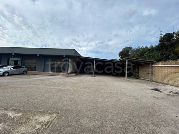 negozio in vendita ad Anzio