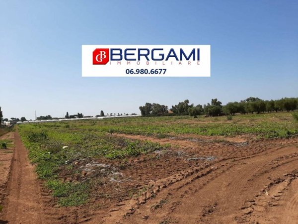 terreno agricolo in vendita ad Anzio in zona Lido dei Pini