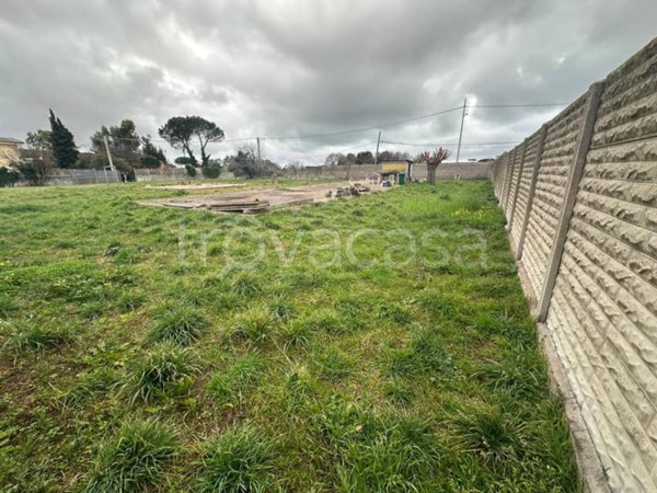 terreno agricolo in vendita ad Anzio