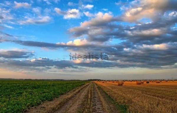 terreno agricolo in vendita ad Anzio