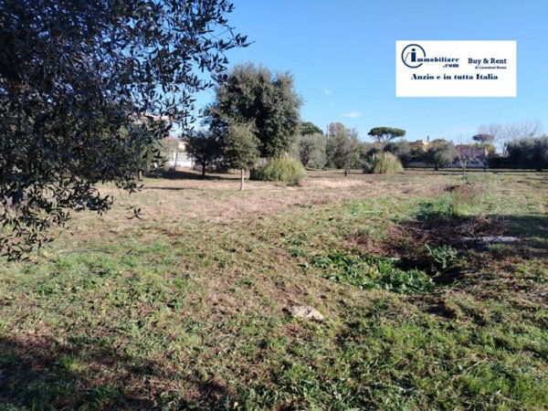 terreno in vendita ad Anzio