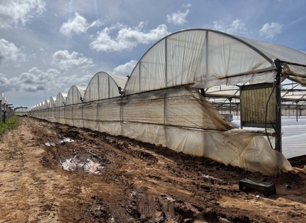 terreno edificabile in vendita ad Anzio