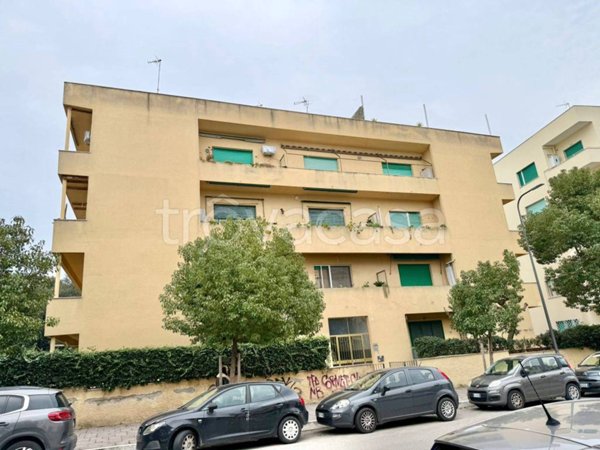 appartamento in vendita ad Anzio in zona Mare