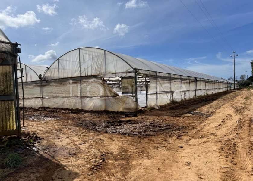 appartamento in vendita ad Anzio in zona Lido dei Pini