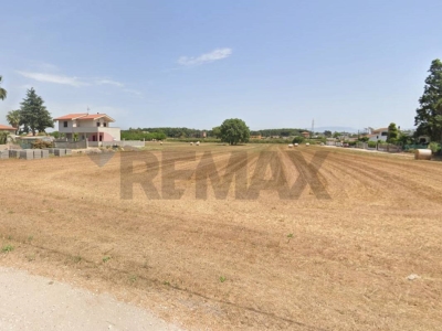 immagine annuncio 0 di 6