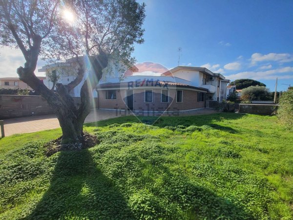 immagine annuncio 0 di 1