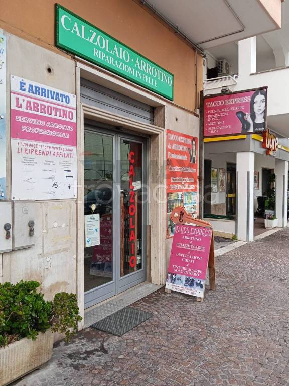 negozio in vendita ad Anzio