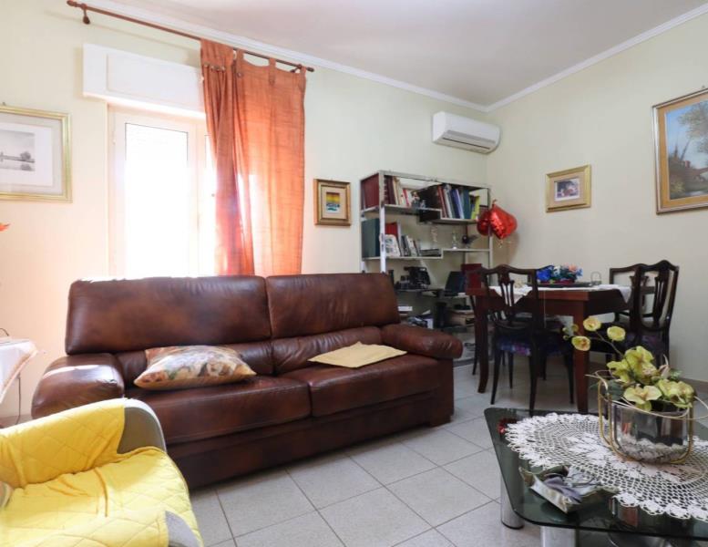 immagine annuncio 0 di 15