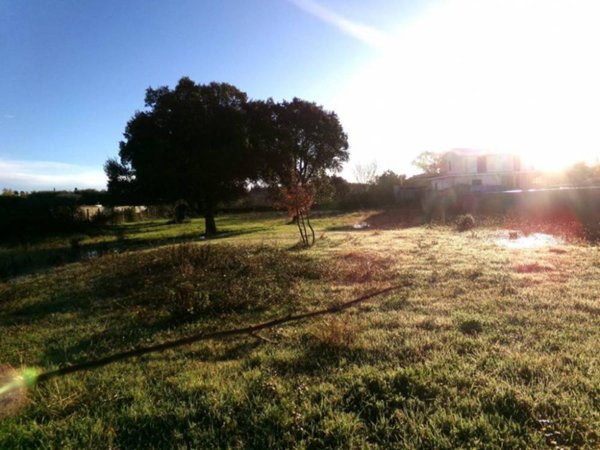 terreno agricolo in vendita ad Anzio in zona Stazione