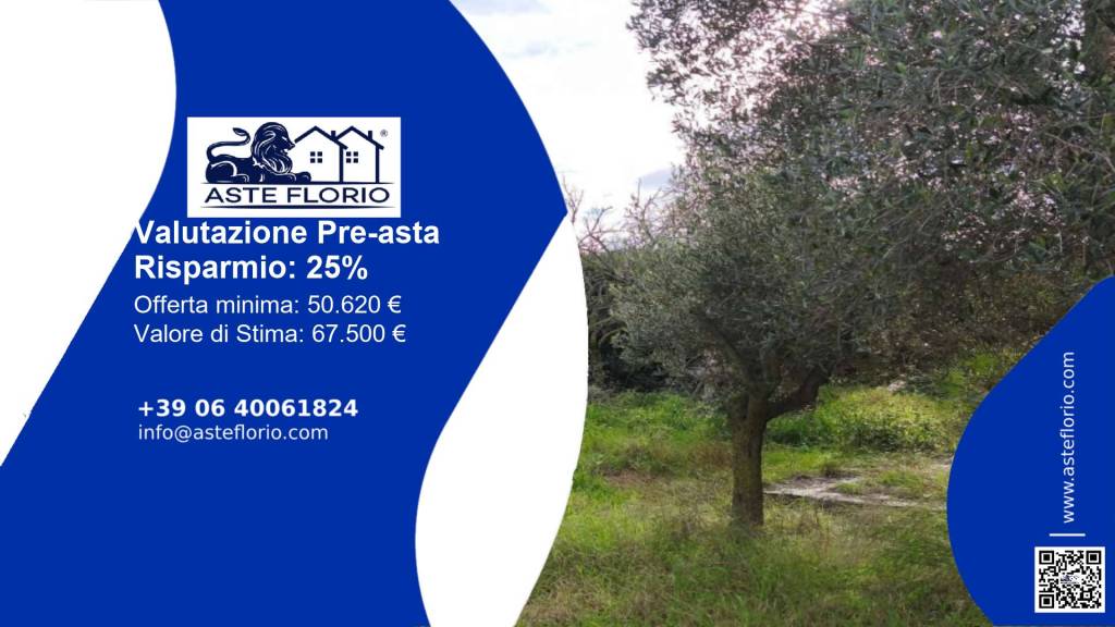 terreno agricolo in vendita ad Anzio