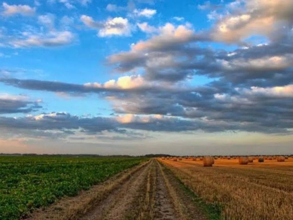 terreno agricolo in vendita ad Anzio in zona Lido dei Pini