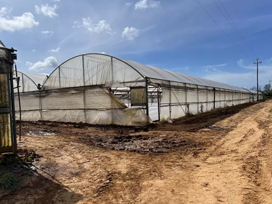 terreno edificabile in vendita ad Anzio