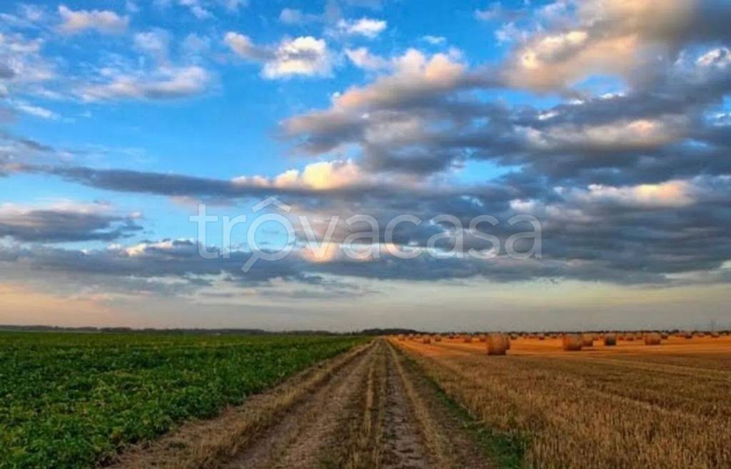terreno agricolo in vendita ad Anzio