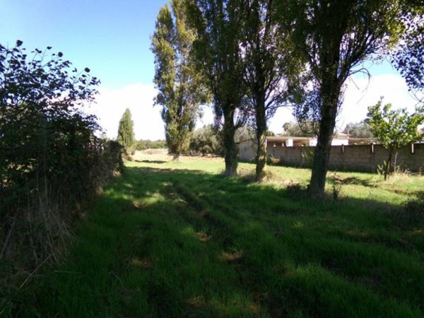 terreno agricolo in vendita ad Anzio in zona Stazione