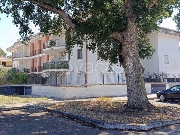 appartamento in vendita ad Anzio in zona Villa Claudia