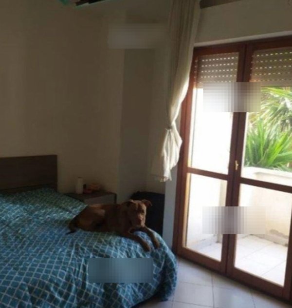 immagine annuncio 0 di 10