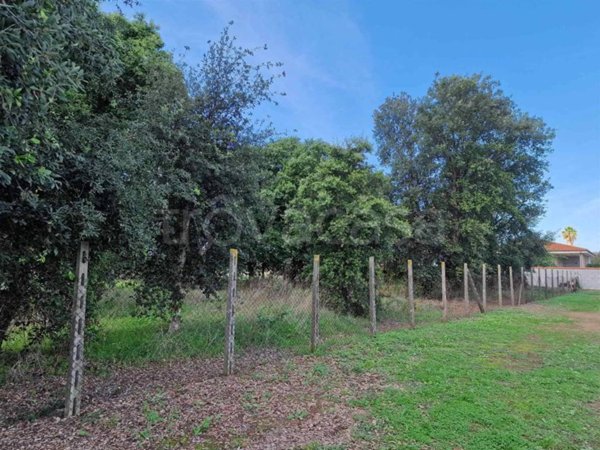 terreno agricolo in vendita ad Anzio in zona Lido dei Pini