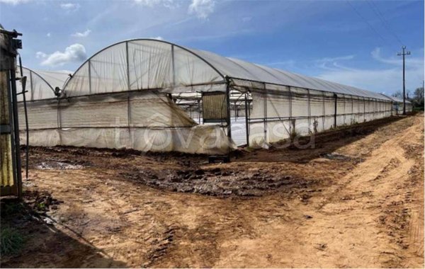 appartamento in vendita ad Anzio in zona Lido dei Pini
