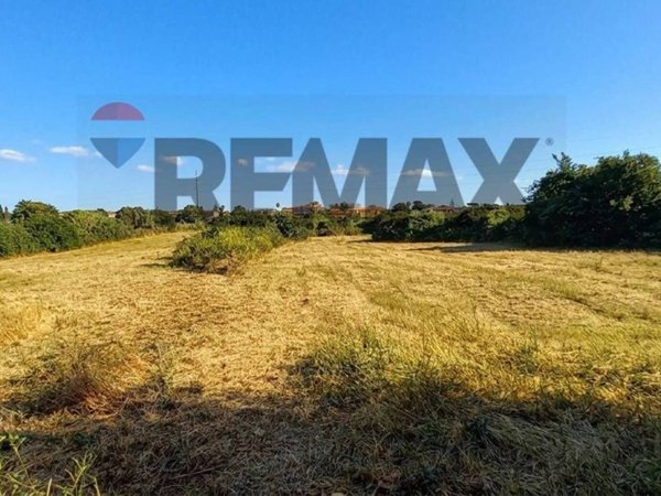 terreno agricolo in vendita ad Anzio