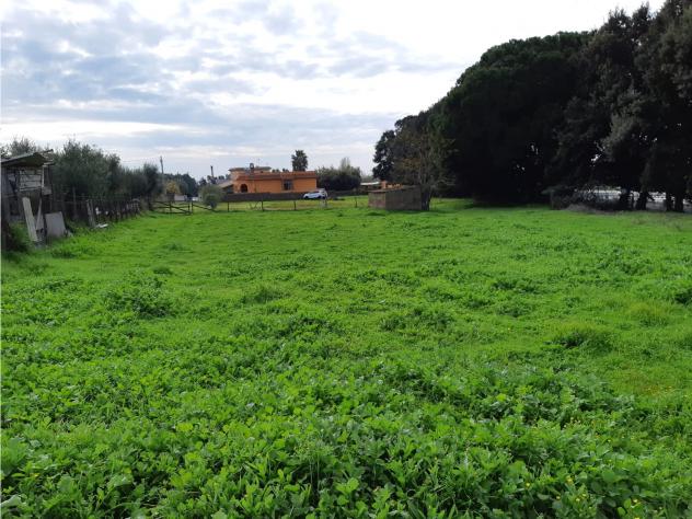 terreno agricolo in vendita ad Anzio