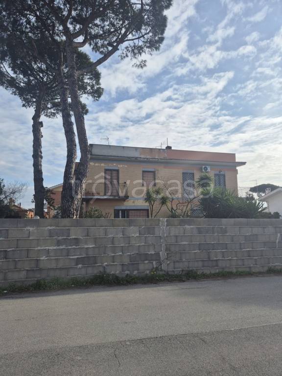 casa indipendente in vendita ad Anzio in zona Villa Claudia