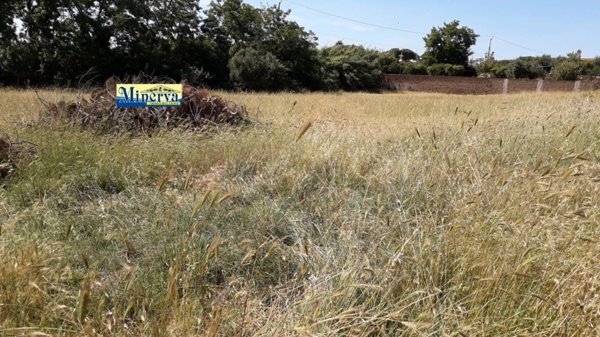 terreno edificabile in vendita ad Anzio in zona Anzio Colonia