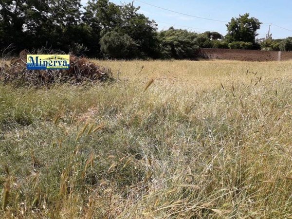 terreno edificabile in vendita ad Anzio in zona Mare