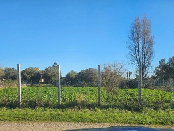 terreno agricolo in vendita ad Anzio in zona Lido dei Pini