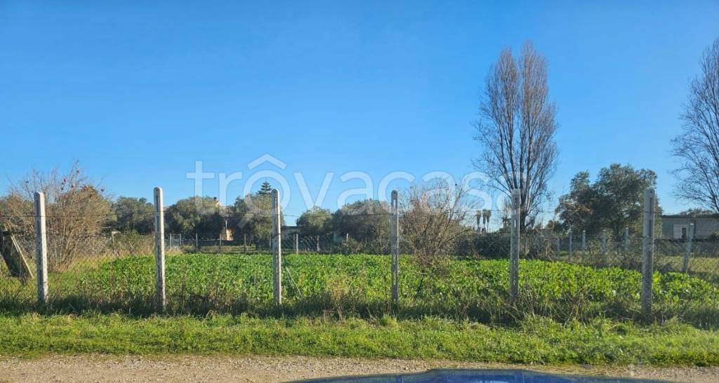 terreno agricolo in vendita ad Anzio