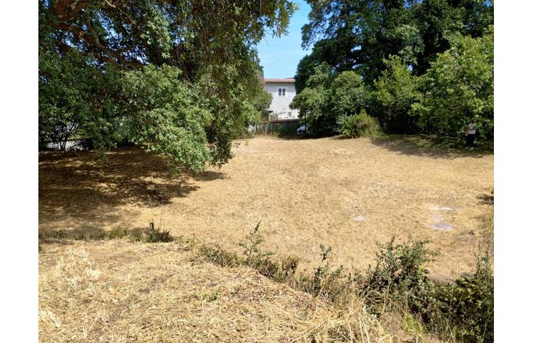 terreno agricolo in vendita ad Anzio