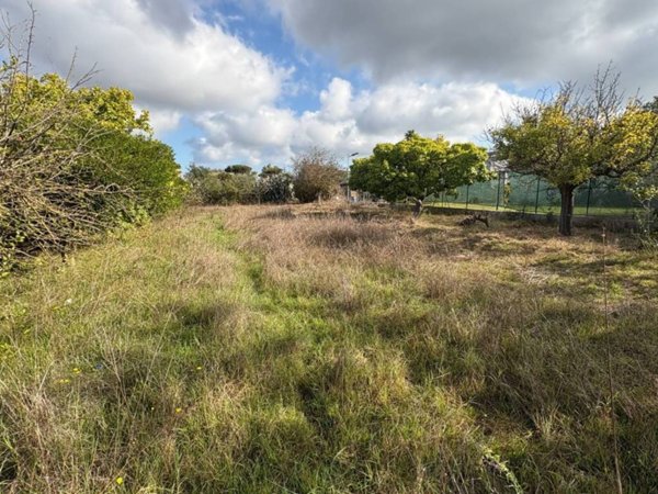 terreno agricolo in vendita ad Anzio in zona Stazione