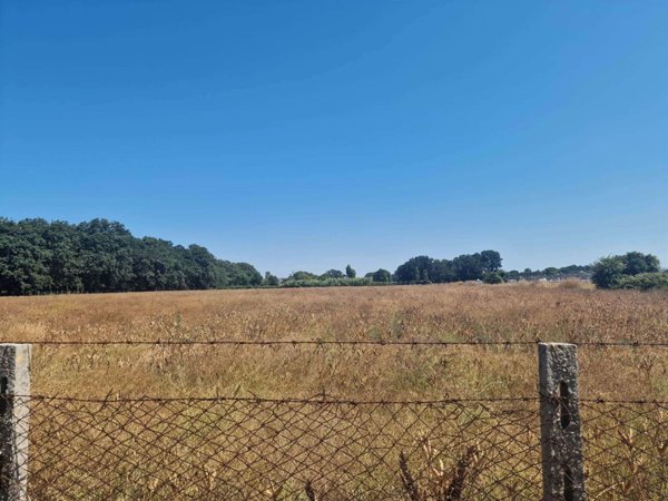 terreno agricolo in vendita ad Anzio in zona Villa Claudia
