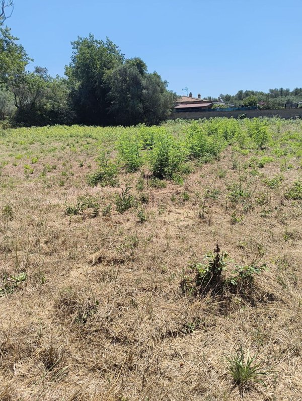 casa indipendente in vendita ad Anzio
