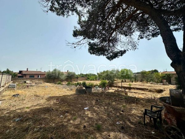 terreno agricolo in vendita ad Anzio