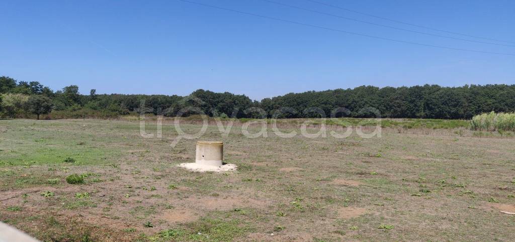 terreno agricolo in vendita ad Anzio