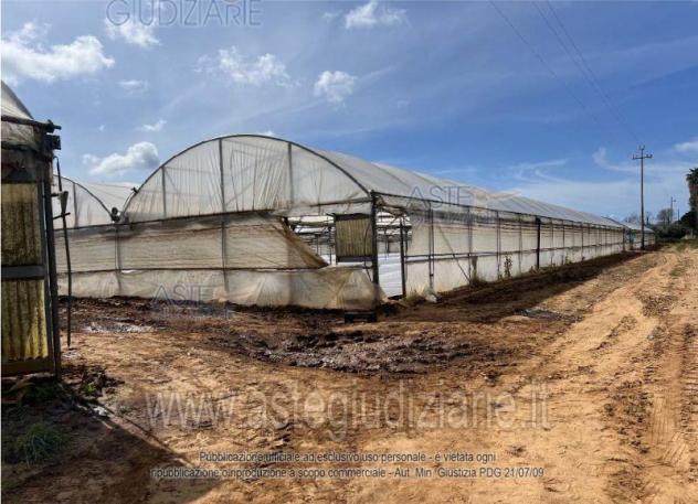 terreno agricolo in vendita ad Anzio