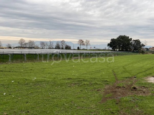 terreno agricolo in vendita ad Anzio in zona Stazione