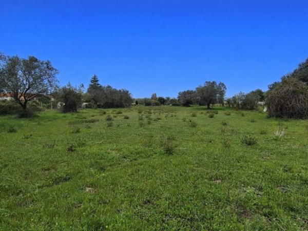 terreno in vendita ad Anzio