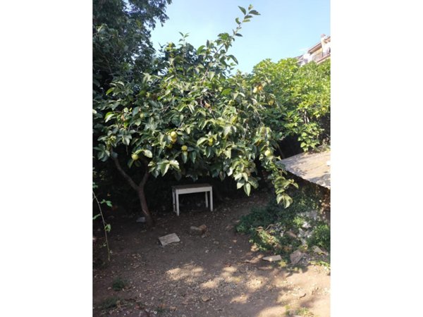 casa indipendente in vendita ad Arcinazzo Romano in zona Altipiani di Arcinazzo