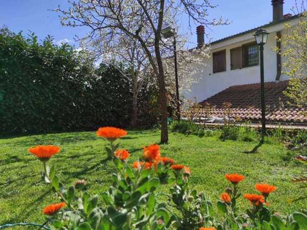 casa indipendente in vendita ad Arcinazzo Romano in zona Altipiani di Arcinazzo