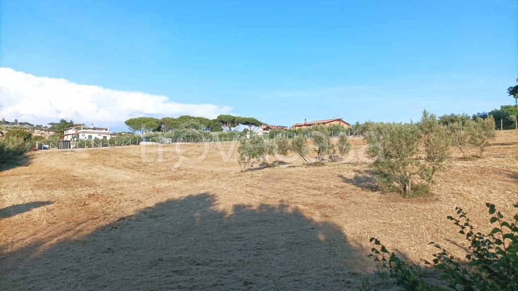 terreno agricolo in vendita ad Ariccia