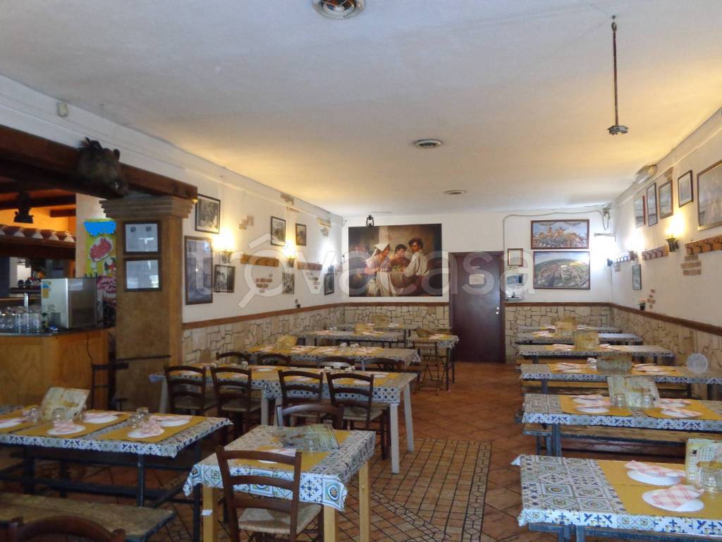 immagine annuncio 0 di 15