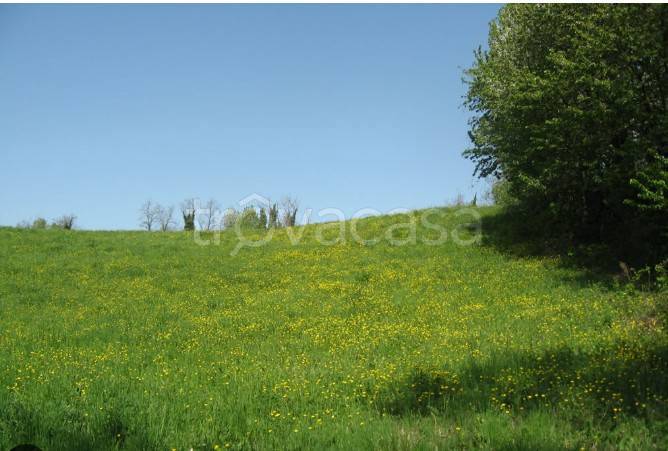 terreno agricolo in vendita ad Ariccia