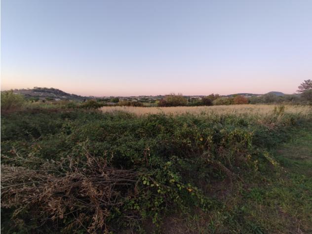 terreno agricolo in vendita ad Ariccia