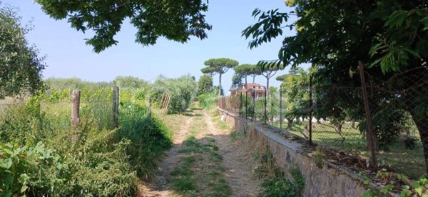 terreno agricolo in vendita ad Ariccia