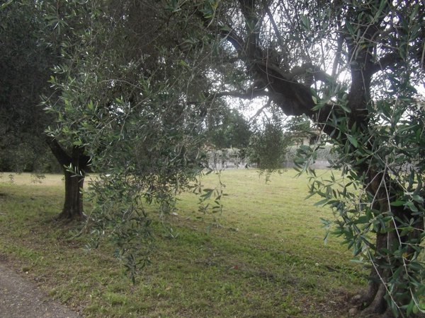 casa indipendente in vendita ad Ariccia