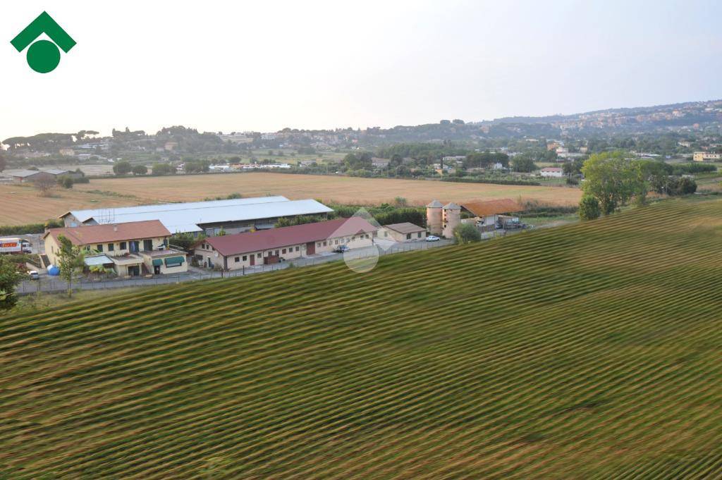terreno agricolo in vendita ad Ariccia