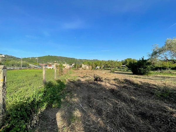 terreno agricolo in vendita ad Ariccia